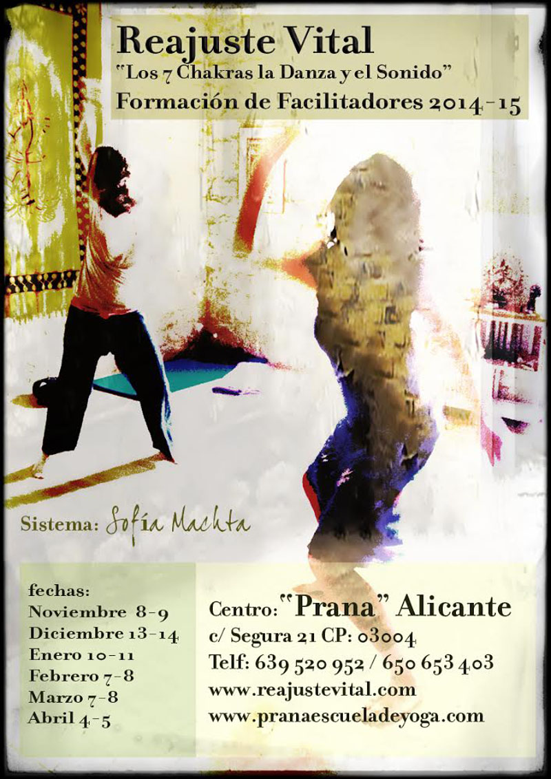 2014-11-08-Prana-Formacion Reajuste Vital
